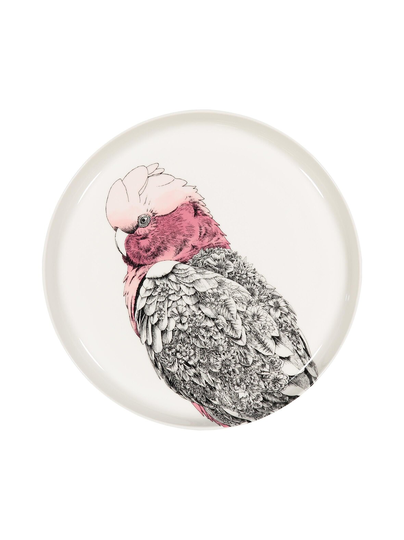 Galah bird -lautanen 20 cm