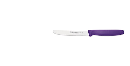 Yleisveitsi Sahalaitainen 11 cm Teräs/Muovi Purppura