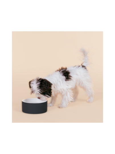 Cool bowl black s for dogs